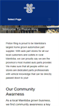 Mobile Screenshot of pistonringservice.com
